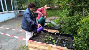 moestuin buurthuis samenmetdebuurt haarlem