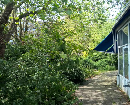 samenmedebuurt natuur haarlem schalkwijk buurthuis samenmetdebuurt