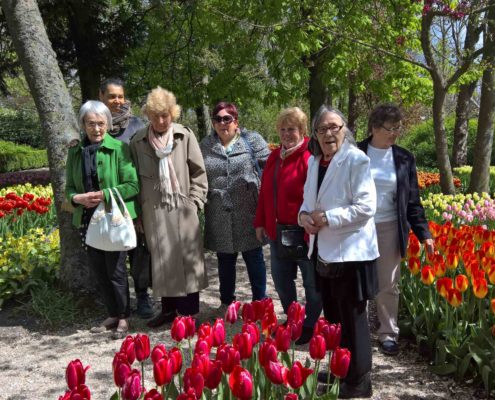 annapaulona bloembollen 03052016