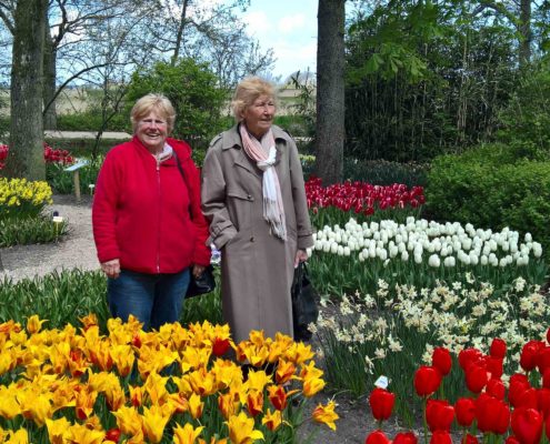 annapaulona bloembollen 03052016